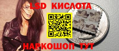 гидропоника Котовск