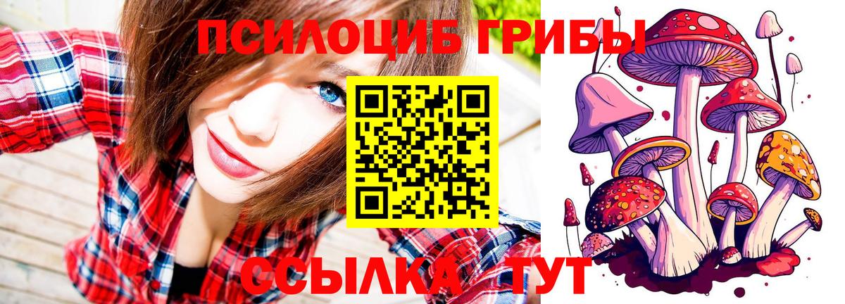 Галлюциногенные грибы Psilocybine cubensis  Вход с VPN  Сорочинск 